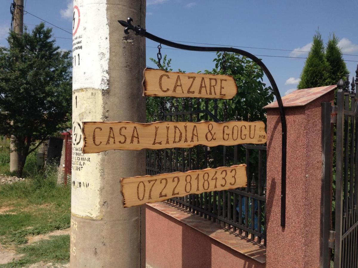 Гостевой дом Casa Lidia și Gogu Budeasa Mare-30