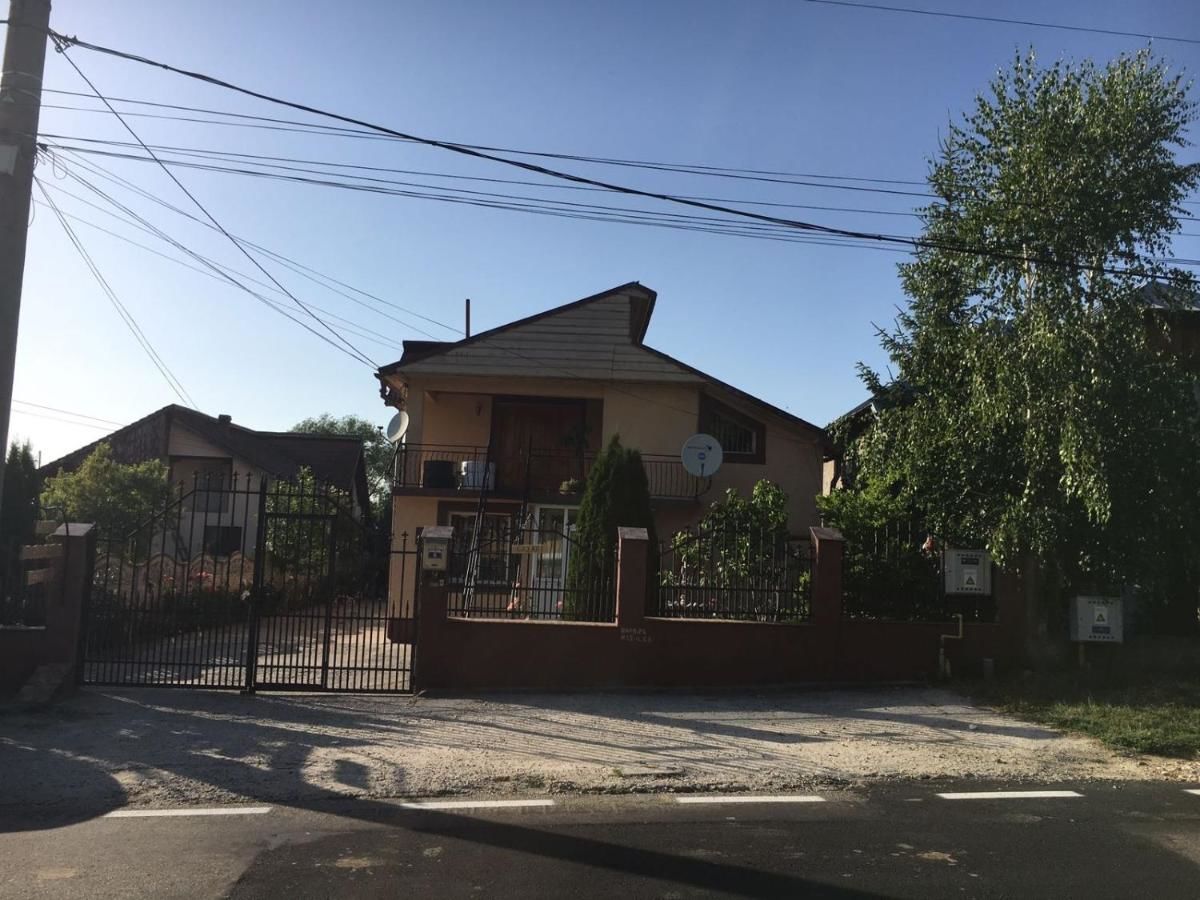 Гостевой дом Casa Lidia și Gogu Budeasa Mare-39